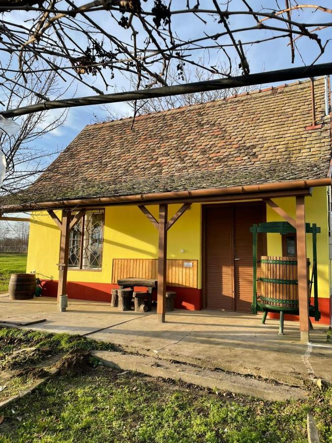 Het Hongaarse Wijnhuis Мохач Экстерьер фото