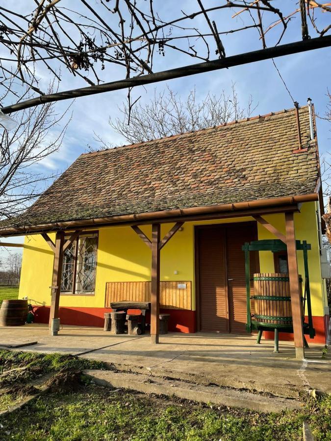 Het Hongaarse Wijnhuis Мохач Экстерьер фото