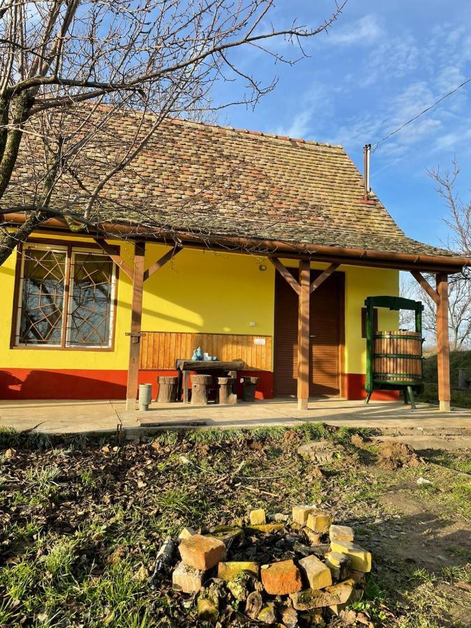 Het Hongaarse Wijnhuis Мохач Экстерьер фото
